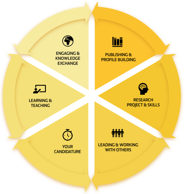 Career framework